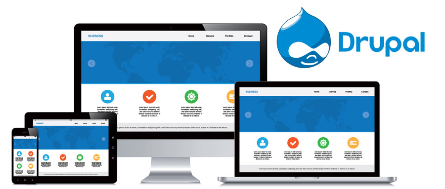 Drupal website development